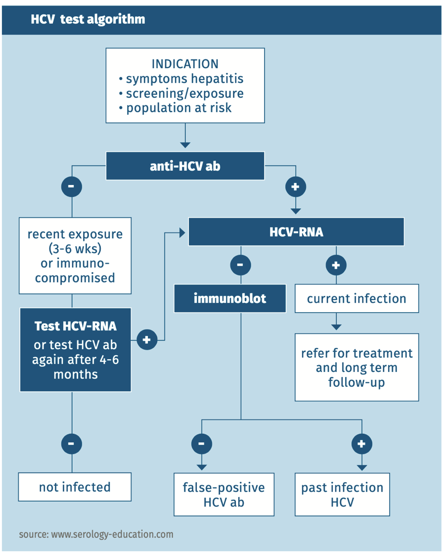 Hepatitis-C-virus-figure-2